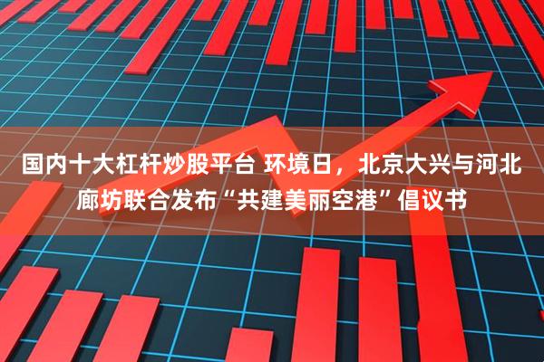 国内十大杠杆炒股平台 环境日，北京大兴与河北廊坊联合发布“共建美丽空港”倡议书