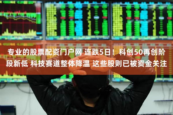 专业的股票配资门户网 连跌5日！科创50再创阶段新低 科技赛道整体降温 这些股则已被资金关注