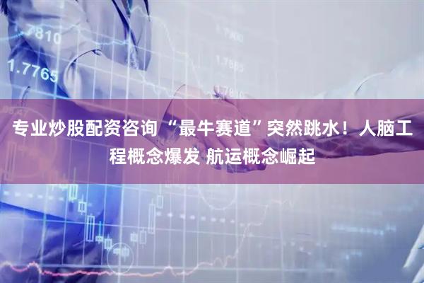 专业炒股配资咨询 “最牛赛道”突然跳水！人脑工程概念爆发 航运概念崛起
